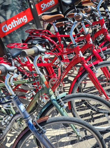 Looking for a great way to get out and ride with no hassle? Try one of our Rental Bikes